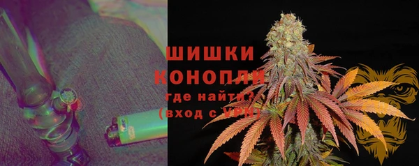 крисы Белокуриха